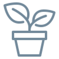 icons8-potted-plant-100 (6)